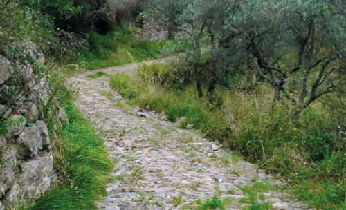 Muletrack of Piè dell’Erta