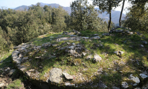 Resti del castello dei signori di Celasco a Bardellone